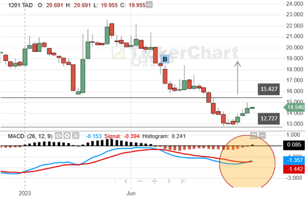 سهم تكوين . لا تكوين الجرح.. نظره على الاسبوعي .. - هوامير البورصة السعودية